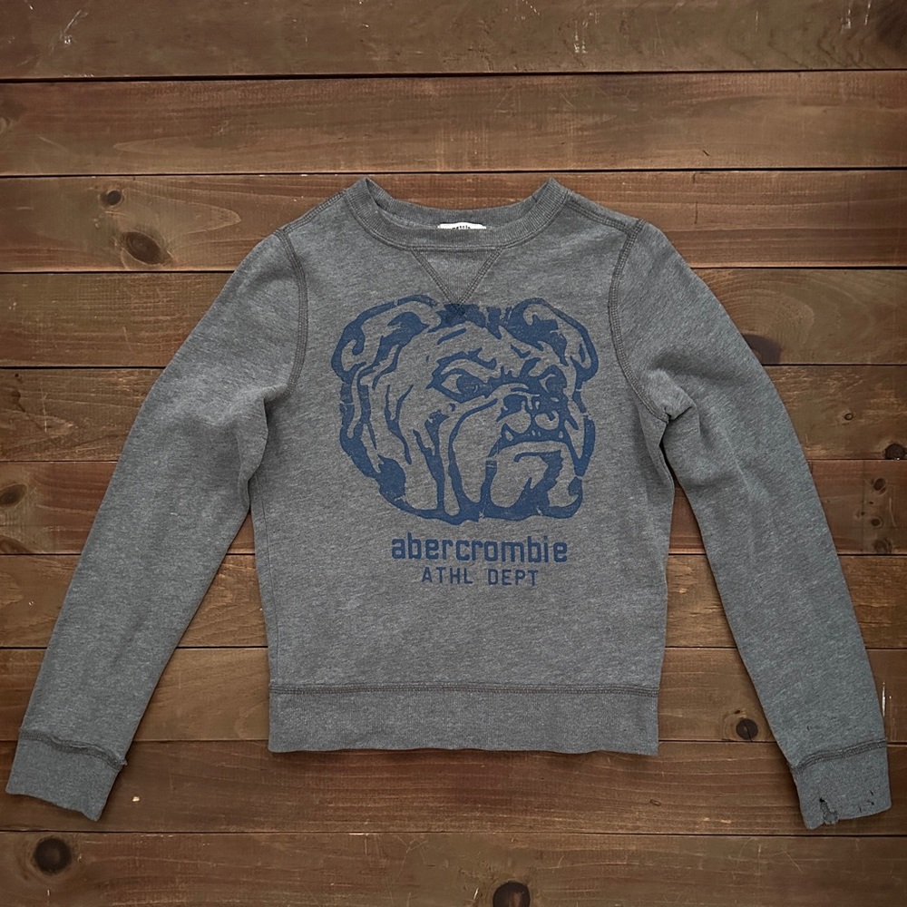 Abercrombie & Fitch Gray Sweatshirt with Blue Graphic